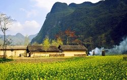[Thơ] Tình xuân