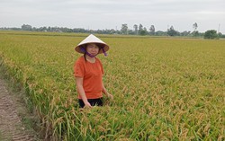 Người cán bộ Hội đam mê công việc “chân lấm tay bùn” 