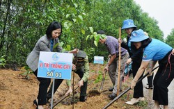 Quảng Ngãi: Hội LHPN các cấp phấn đấu trồng hơn 200 nghìn cây xanh trong năm 2024