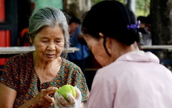 TPHCM: Tỷ lệ góa chồng cao hơn 4 lần tỷ lệ góa vợ