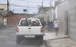 Sốt xuất huyết tăng đột biến, Peru phải ban bố tình trạng khẩn cấp