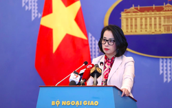 Việt Nam lên tiếng về hoạt động của tàu Trung Quốc ở bãi Tư Chính
