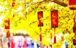 Rưng rưng nhớ Tết bước chân tìm về