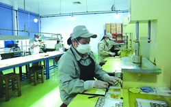 Sức xuân của những người lính thợ Z129