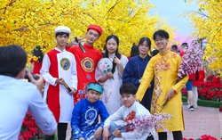 Du khách đổ xô đến chụp ảnh với dàn linh vật rồng đẹp sắc sảo tại đường hoa Tết Đà Nẵng 