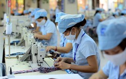 Kỳ vọng hồi phục quý 4/2023, loạt doanh nghiệp dệt may vẫn gặp khó