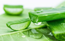 Bị phạt hơn 160 triệu đồng, đình chỉ hoạt động do sản xuất mỹ phẩm không phép