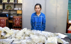 Tuyên Quang: Phá chuyên án mua bán ma túy liên tỉnh qua chuyển phát nhanh