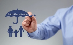 Bộ Tài chính có kế hoạch thanh tra với 6 doanh nghiệp bảo hiểm trong năm nay