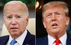 Bầu cử Mỹ: Ông Joe Biden và Donald Trump trở thành ứng viên tổng thống của mỗi đảng
