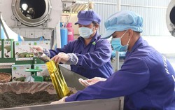 Tìm "chỗ đứng" cho thương hiệu chè Phú Thọ