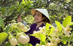 Hương tháng Ba
