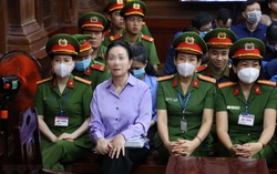 Trương Mỹ Lan nhờ gia đình bán hàng loạt bất động sản để khắc phục hậu quả
