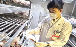 Hiến máu dần trở thành phong trào của người dân Đông Nam bộ