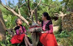 Phát động cuộc thi ảnh, video “Việt Nam hạnh phúc - Happy Vietnam 2024”