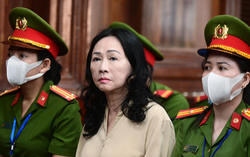 Quan điểm của luật sư về hình phạt và cách xử lý tài sản trong vụ án Vạn Thịnh Phát