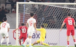 ĐT Việt Nam lại thua Indonesia, CĐV Việt Nam hết kiên nhẫn đòi Troussier từ chức