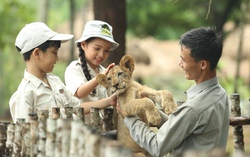 Top trải nghiệm “vui quên lối về” tại “Ngày Hội Xanh” 2024