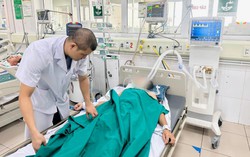 Vì sao số ca tử vong do bệnh dại tăng?