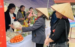 Phân loại các đối tượng hội viên cần ưu tiên giúp đỡ để hỗ trợ khởi nghiệp