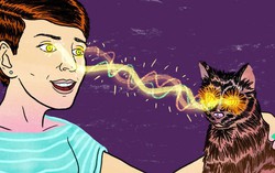Bí ẩn: Người nuôi mèo có nguy cơ mắc bệnh tâm thần cao gấp đôi người bình thường?