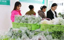 Người dân Hà Nội đang chịu mức sống "đắt đỏ" nhất trong cả nước