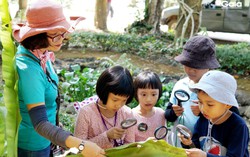 Sáng kiến "Góp một cây là góp rừng"