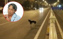 Chó bất ngờ băng sang đường khiến người đàn ông bị gãy xương đòn