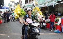 Chợ hoa Hồ Thị Kỷ sôi động Ngày 8/3