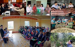 Tín dụng chính sách xã hội nâng cao quyền năng kinh tế cho phụ nữ