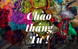 Tháng tư về