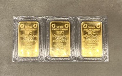 Giá vàng tăng 3 - 4 triệu đồng chỉ trong 1 tuần