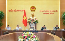 Thiếu cơ chế đặc thù riêng biệt bảo vệ người chưa thành niên trong các giai đoạn tố tụng