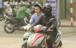 Nhiệt độ Hà Nội gần 40 độ C, người dân vất vả mưu sinh trong cái nắng đầu hè