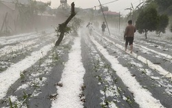 Sơn La: Mưa đá gây thiệt hại lớn về hoa màu