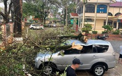 Sơn La: 1 phụ nữ bị sét đánh tử vong, gần 5.000 ngôi nhà bị hư hỏng do thiên tai