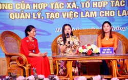 Hà Tĩnh: Chia sẻ kinh nghiệm thúc đẩy phụ nữ phát triển kinh tế tập thể