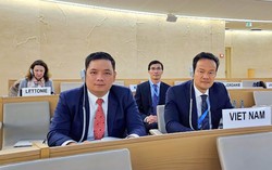 Việt Nam đề xuất tăng cường chống bạo lực trên cơ sở giới ở không gian mạng