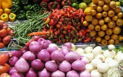 Củ khiến nhiều người cay mắt nhưng lại là “thần dược” hạ đường huyết, làm sạch mạch máu, chống ung thư: Chợ Việt rất sẵn