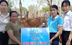Phụ nữ Đắk Lắk thay đổi nếp nghĩ, cách làm, dần xóa bỏ tư tưởng trông chờ sự hỗ trợ của Nhà nước 