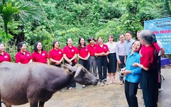 Nhân rộng mô hình "Chi hội phụ nữ thu gom rác thải tái chế" giúp phụ nữ nghèo ở Thành phố Hoà Bình
