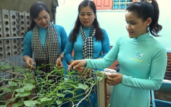 Phụ nữ với Trường Sa - Bài 3: Những người phụ nữ kiên cường bám đảo