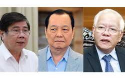 Bộ Chính trị, Ban Bí thư xem xét, thi hành kỷ luật tổ chức đảng, đảng viên