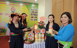 Phụ nữ dân tộc Mường giảm nghèo nhờ cây nghệ