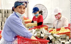 Đề xuất người cao tuổi được vay vốn tạo việc làm