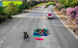 Xử phạt nhóm phụ nữ tập yoga, chụp ảnh "check in" giữa đường