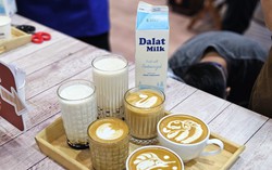 Dalatmilk: Sữa tươi pha chế hàng đầu dành cho barista