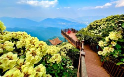 Nắng nóng hơn 40 độ C, hàng ngàn du khách vẫn đổ về Sa Pa, Hạ Long, Sầm Sơn trong ngày đầu nghỉ lễ