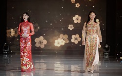 Nữ doanh nhân đưa áo dài Việt Nam vươn ra thế giới