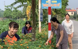 Hội LHPN Bắc Ninh: Trồng hoa trên bùn thải của làng nghề